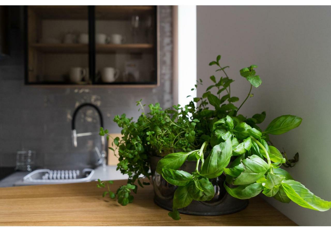 Gostynin Garden Apartment Eksteriør billede
